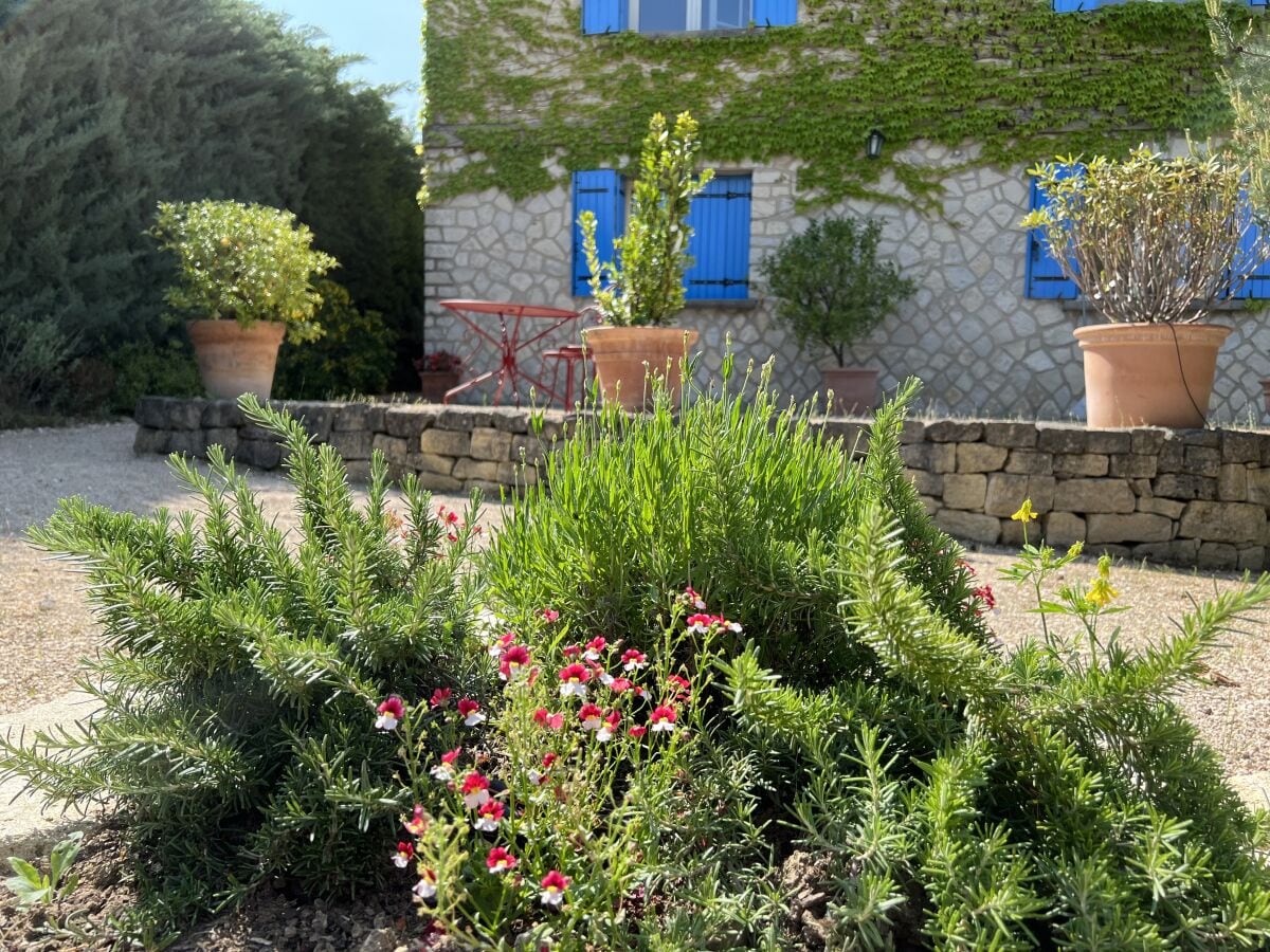 Terrasse im Mai