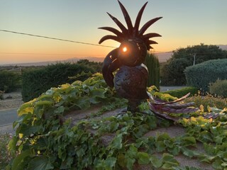 Vakantieappartement Bedoin Buitenaudio-opname 10