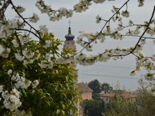 Blick vom Garten auf die Kirche
