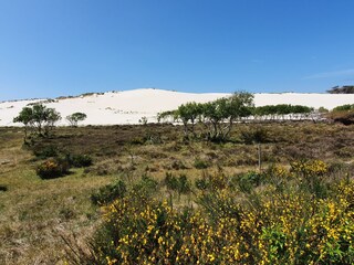 Casa per le vacanze Callantsoog Ambiente 22