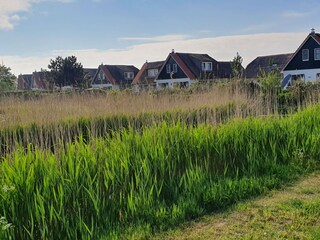 Casa per le vacanze Callantsoog Ambiente 23