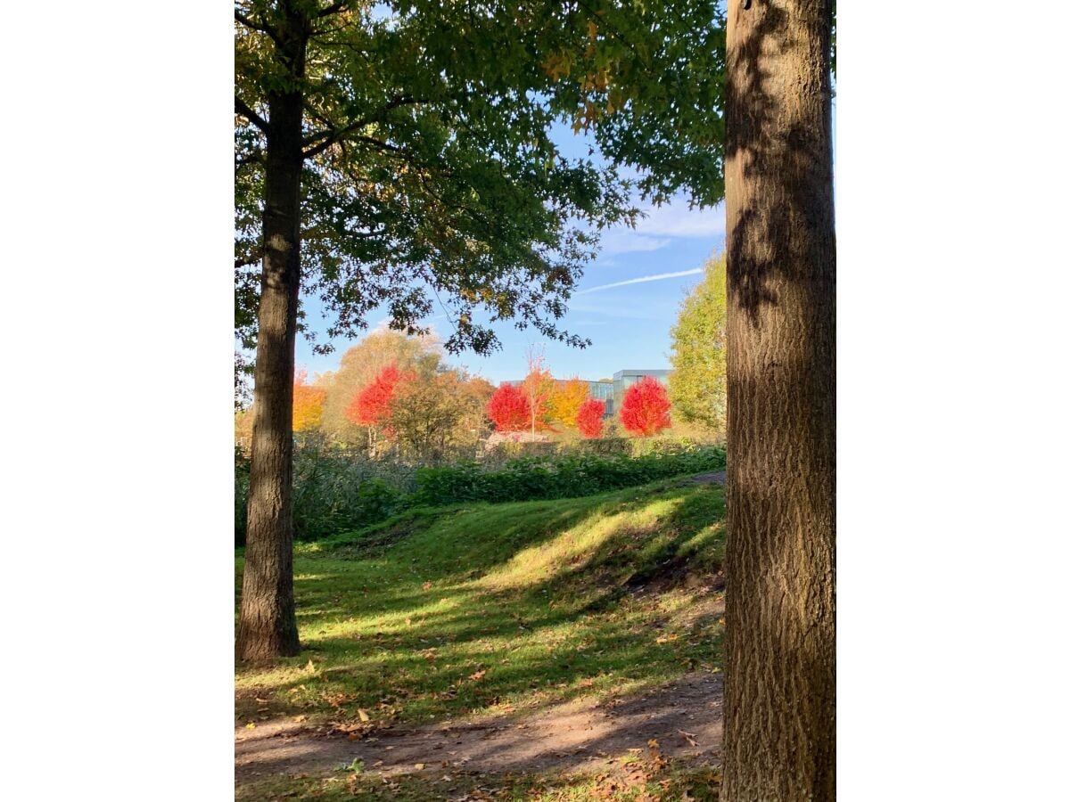 Königswiesen im Herbst