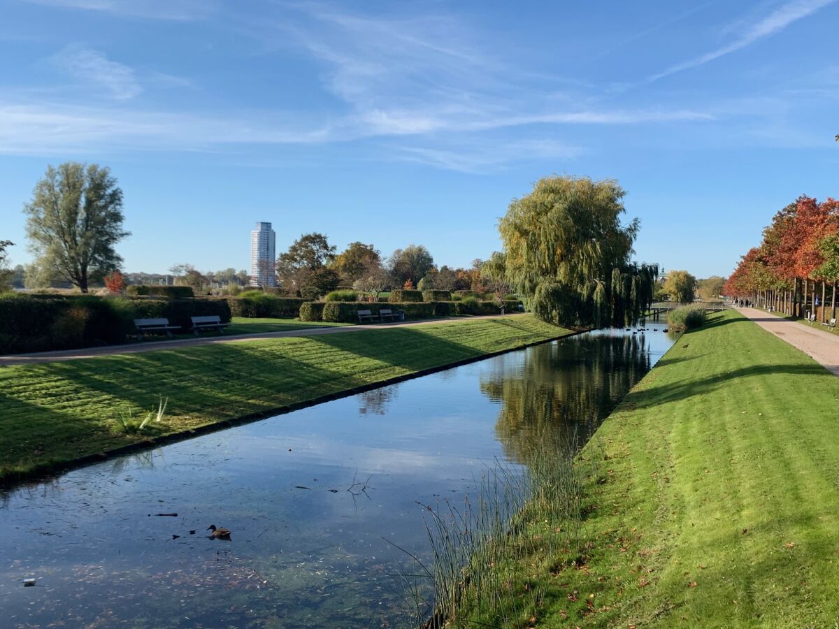 Königswiesen im Herbst