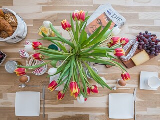 Holiday apartment Zingst Features 10