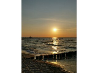 Holiday apartment Zingst Environment 28