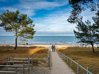 Strandabgang Binz Frühling