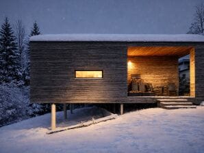 Ferienhaus Die schwebende Holzbox