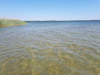 sauberes Wasser Grimnitzsee, flaches Ufer