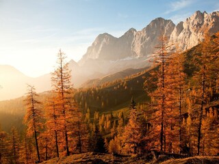 Goldener Herbst am Fuße des Dachsteins