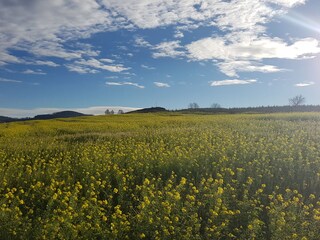 Umgebung Landschaft