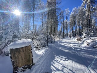 Winterlandschaft