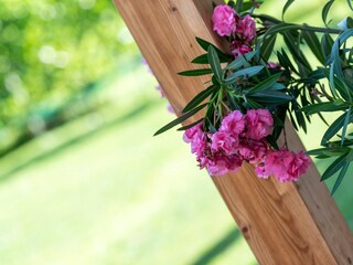 Appartamento per vacanze Nals Registrazione all'aperto 4