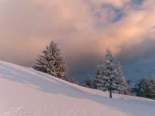 taxbahme-am-lahnberg