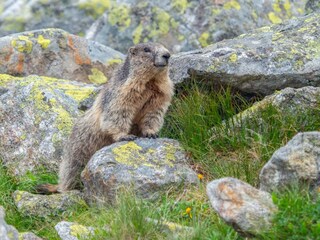 immer-auf-der-Hut-sein