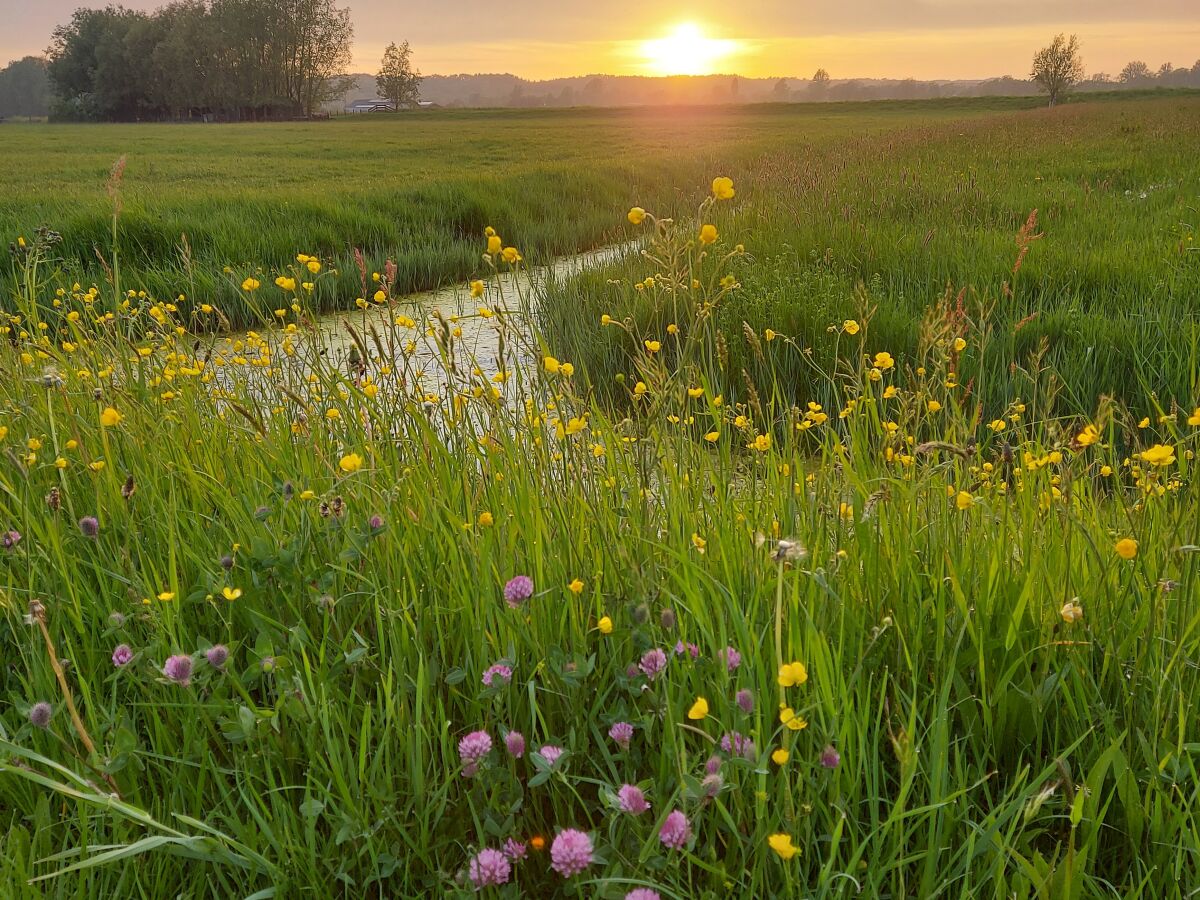 Blick auf das Land