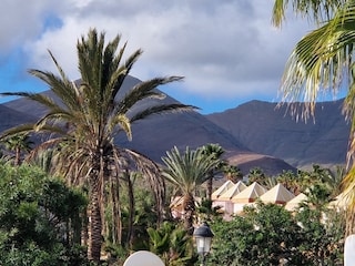 Blick von der Dachterrasse