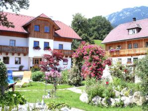 Apartment Biohaus Florian - Haus im Ennstal - image1