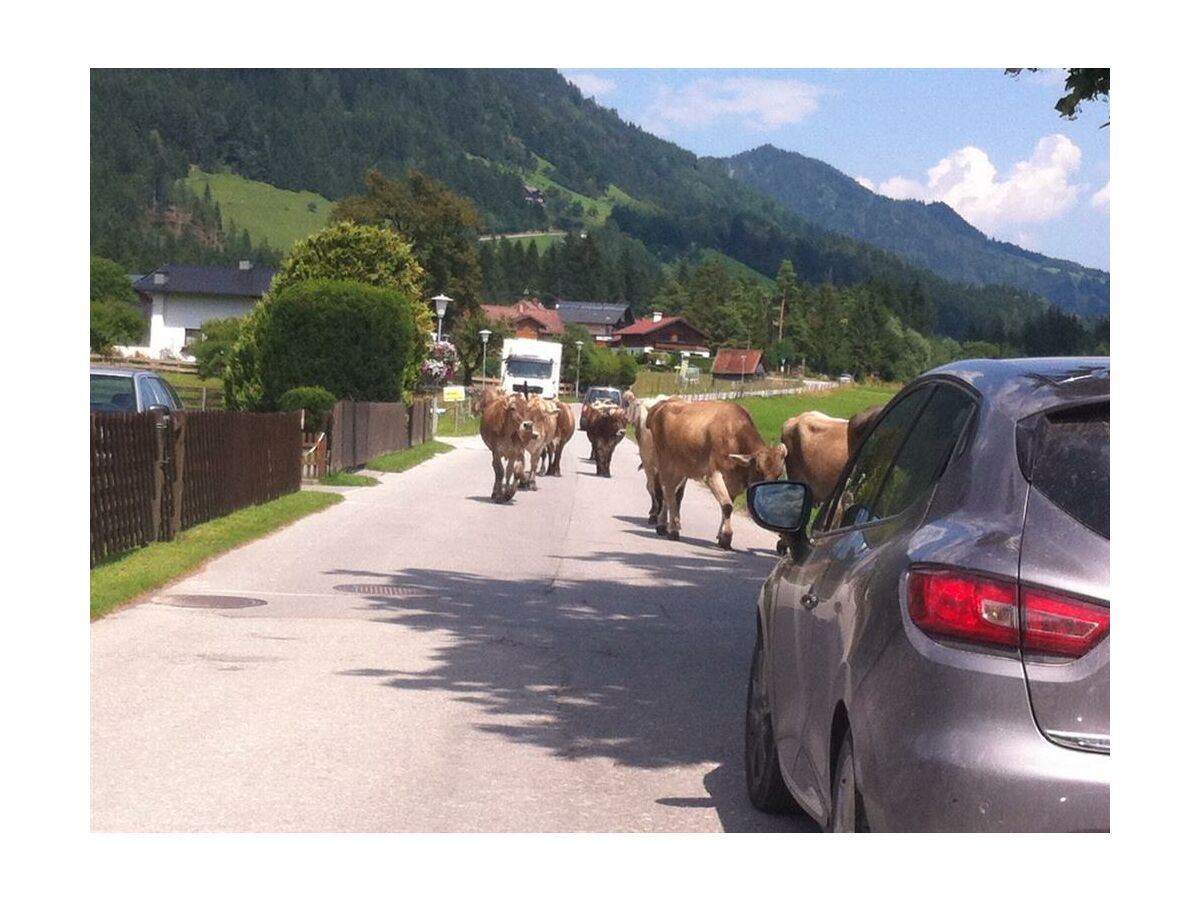 Haus Landl - Steirische Entschleunigung