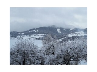 Winter - Balkonaussicht