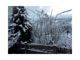Blick vom Garten Weihanchten 2017