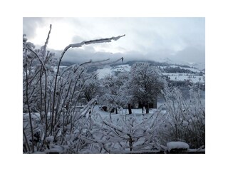 nächtlicher Schneefall