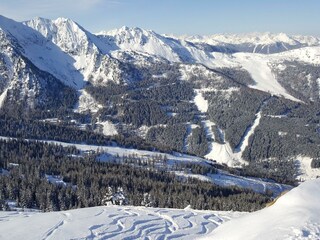 Blick in die Alm