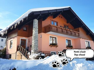 Urlaub mit Hund