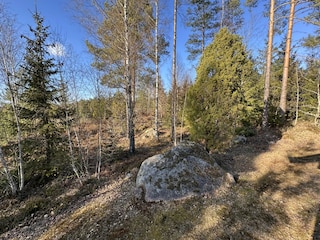 Natur direkt am Haus