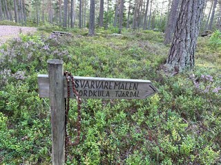 Wandern in der Umgebung