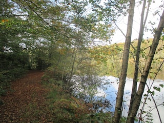 Holiday house Beulotte-Saint-Laurent Environment 24