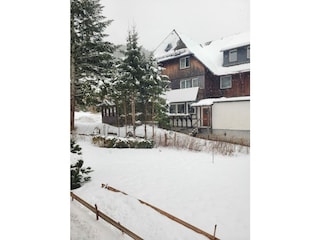 Ferienwohnung Menzenschwand Umgebung 35