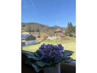 Ferienwohnung Menzenschwand Ausstattung 32