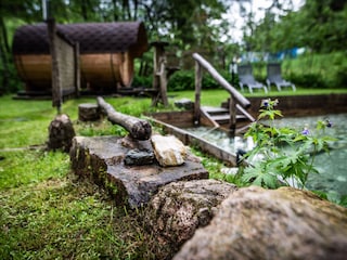 Ferienhaus Breitenbrunn im Erzgebirge Außenaufnahme 14