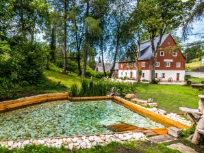 Ferienhaus Pension Schneider - Oberes Erzgebirge - image1