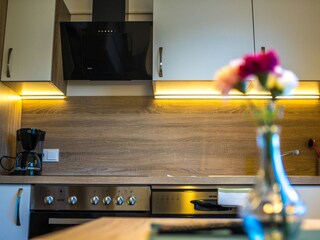Vakantieappartement Hippach Kenmerken 7