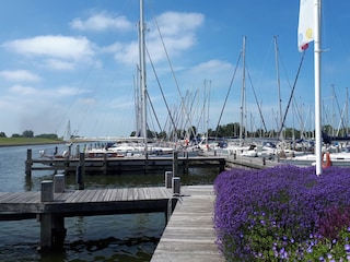 Chalet Makkum Entorno 25