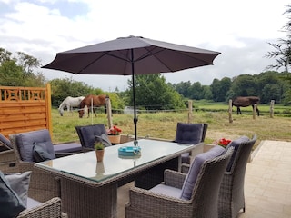 Hier gucken nur die Pferde was Sie machen! :))