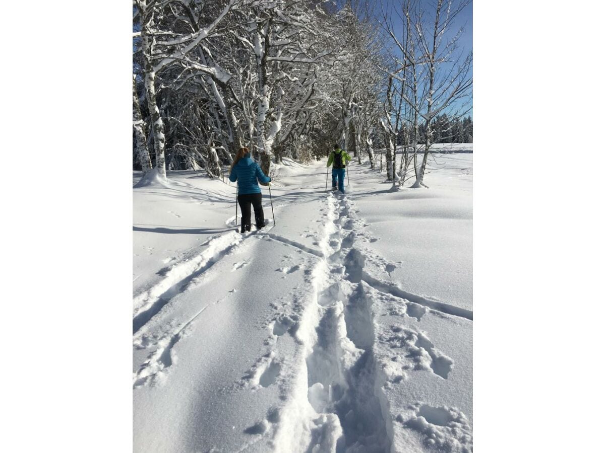 Schneeschuhwanderung in Faulenfürst