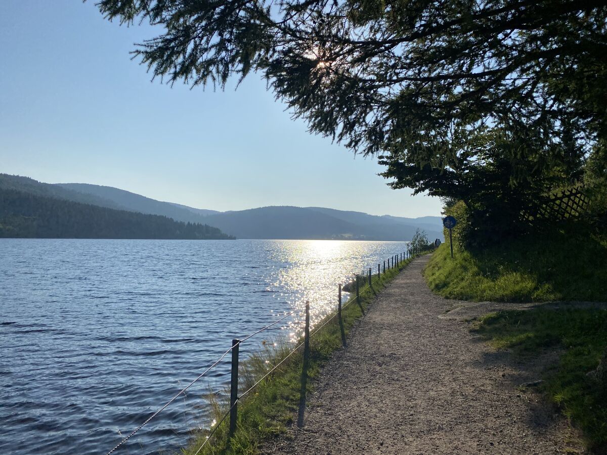 Amalienruhe am Schluchsee