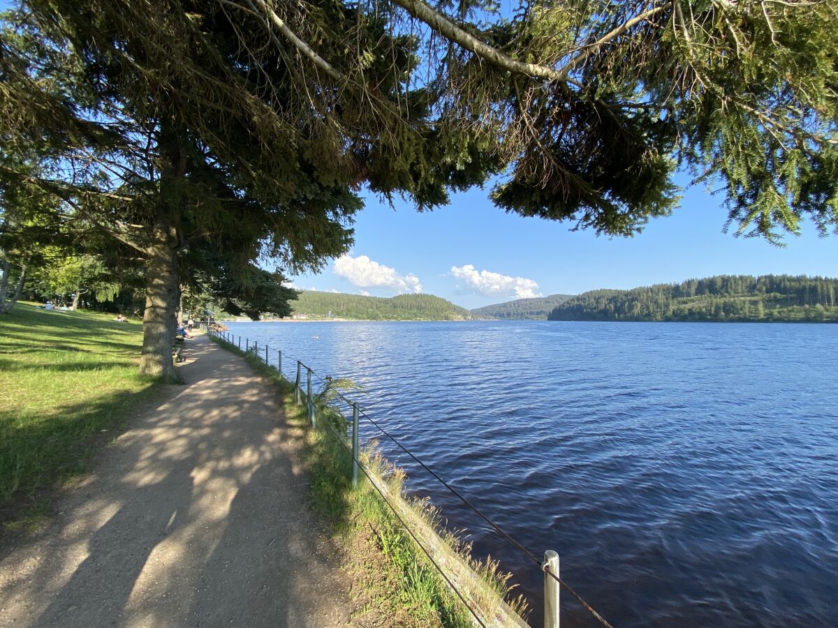 Amalienruhe am Schluchsee