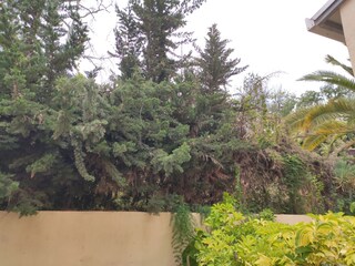 Holiday apartment Puerto de la Cruz Outdoor Recording 21