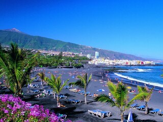 Holiday apartment Puerto de la Cruz Environment 33