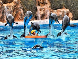 Holiday apartment Puerto de la Cruz Features 28