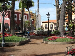 Holiday apartment Puerto de la Cruz Environment 36