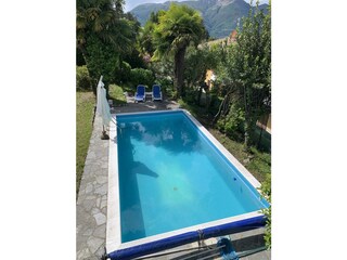 Ca. 4 m x 8 m großer Pool (Tiefe 1,50 m)