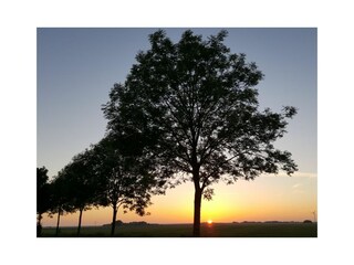 Sonnenuntergang vor der FeWo