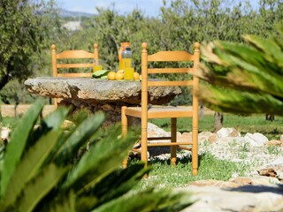 Finca S'Horta Buitenaudio-opname 19