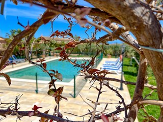Finca Cala D'Or Buitenaudio-opname 14