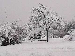 Appartamento per vacanze Brixen Registrazione all'aperto 7