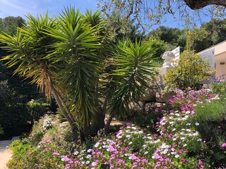 Villa Mougins Buitenaudio-opname 13